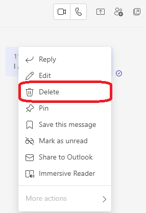 delete chat button circled red