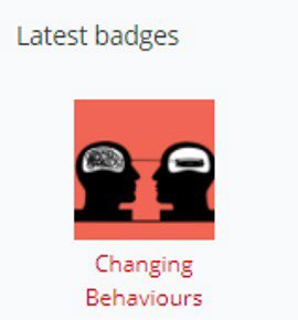 screenshot of moddle badges