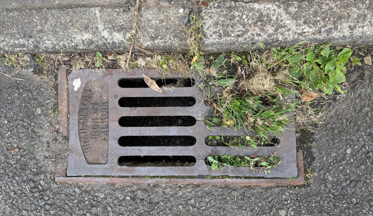 Example of gully blocked with vegetation
