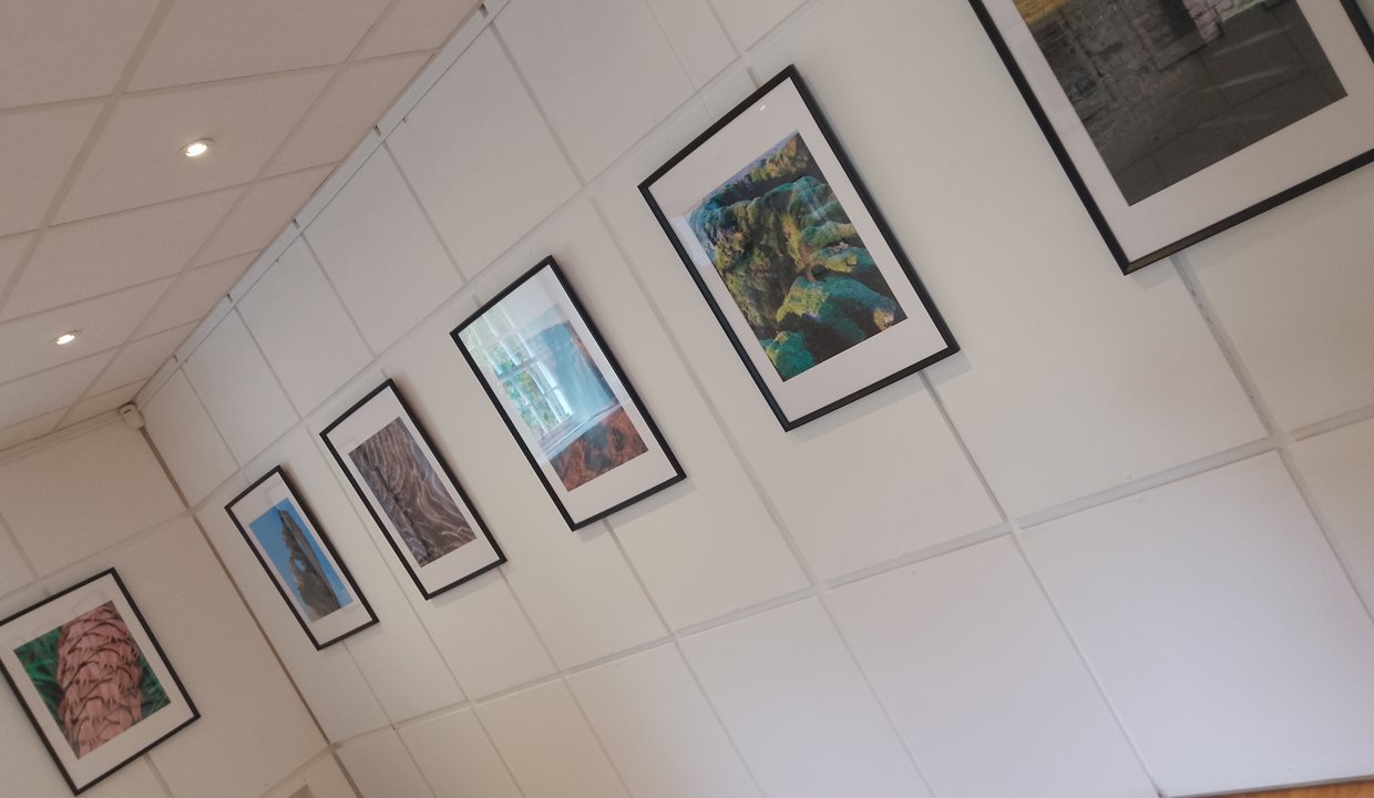 Pictures hanging in the new Campsie Gallery at Mugdock