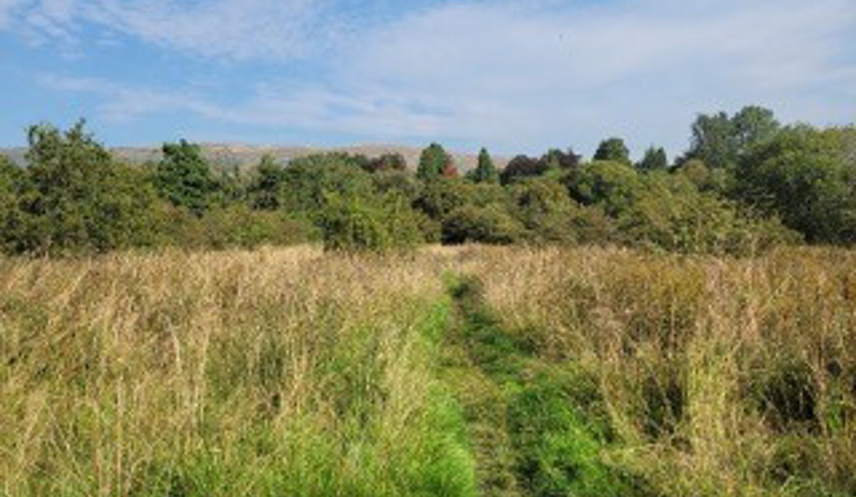 A path typical of rural parts of East Dunbartonshire and the Lennoxtown area in particular. This path is graded fair with a mud surface suitable for walkers.
