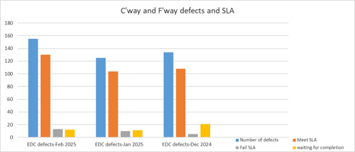 Carriageway and footway defects chart