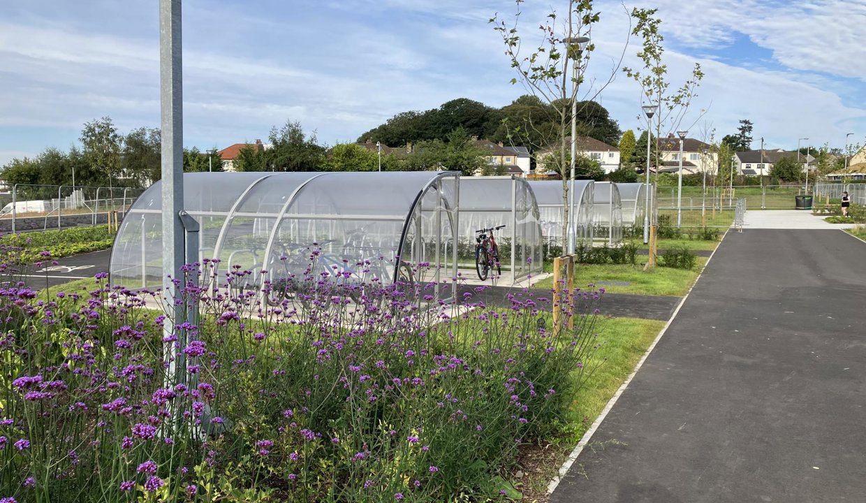 image of bike shed and flowers