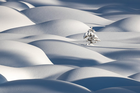 Image of snowy landscape and tree - Isolation by Vikki Macleod