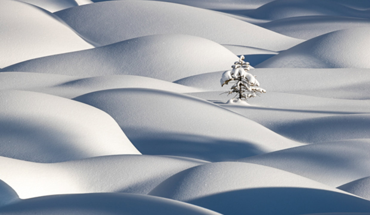 Image of snowy landscape and tree - Isolation by Vikki Macleod