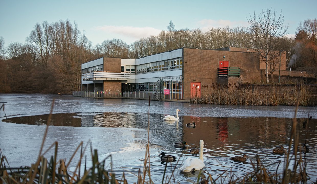 Milngavie library with a swans and ducks on the water
