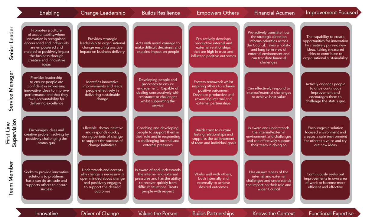 Competencies of Senior Leader, Service Manager, First Line Supervision
and Team Member