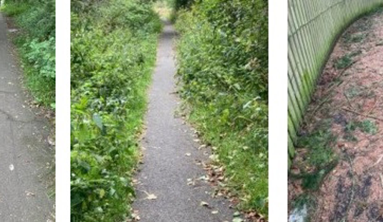 Three images of paths in Lennoxtown