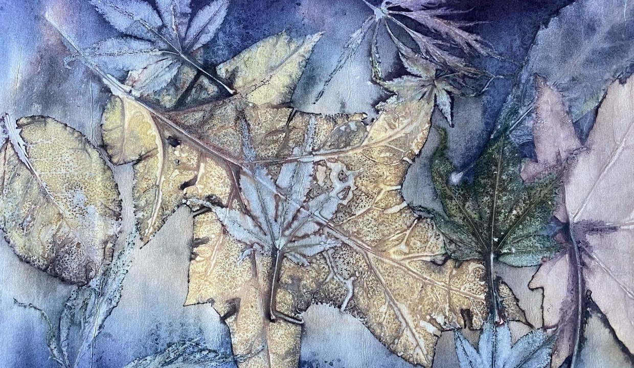 Photo 2: ' Logwood 1', a printing on paper, which will be exhibited in Kirkintilloch.
