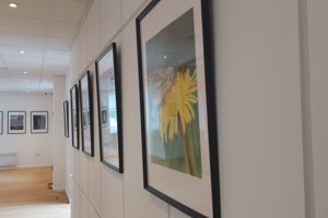 Pictures hanging in the new Campsie Gallery at Mugdock