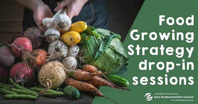 picture of various vegetables with the text 'food growing strategy drop-in sessions'