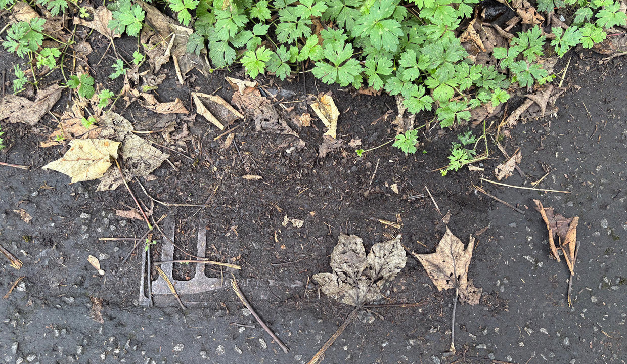 Gully blocked with vegetation