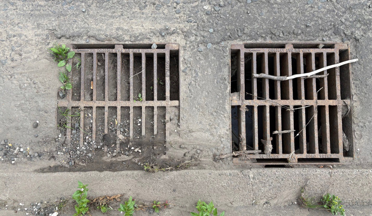 Gully full of silt