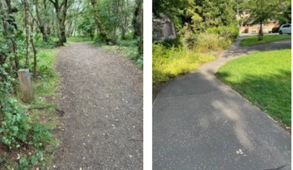 Pictured is a section of path at Lenzie Moss, this is a good quality gravel surface which could be used comfortably by walkers and cyclists