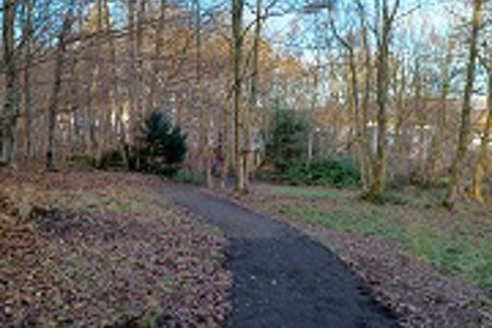 Cairnhill Woods