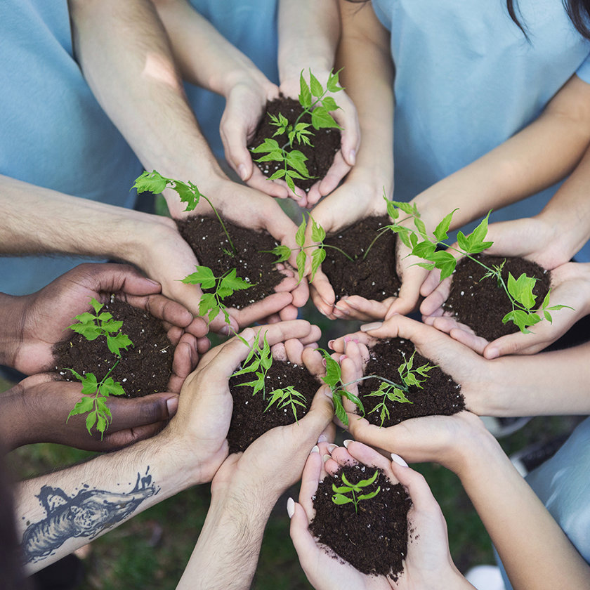 Group of people holding compost and plants 