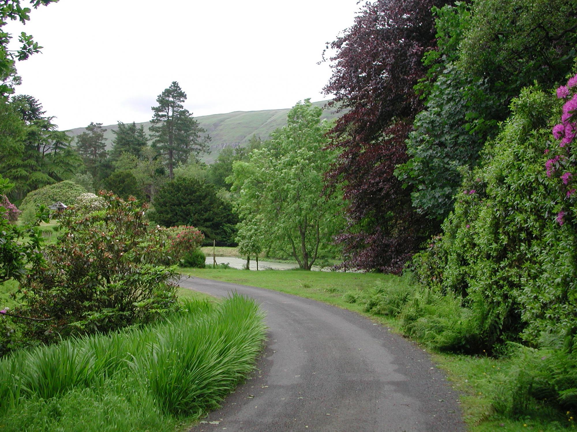 Campsie path