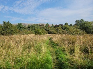 rural path