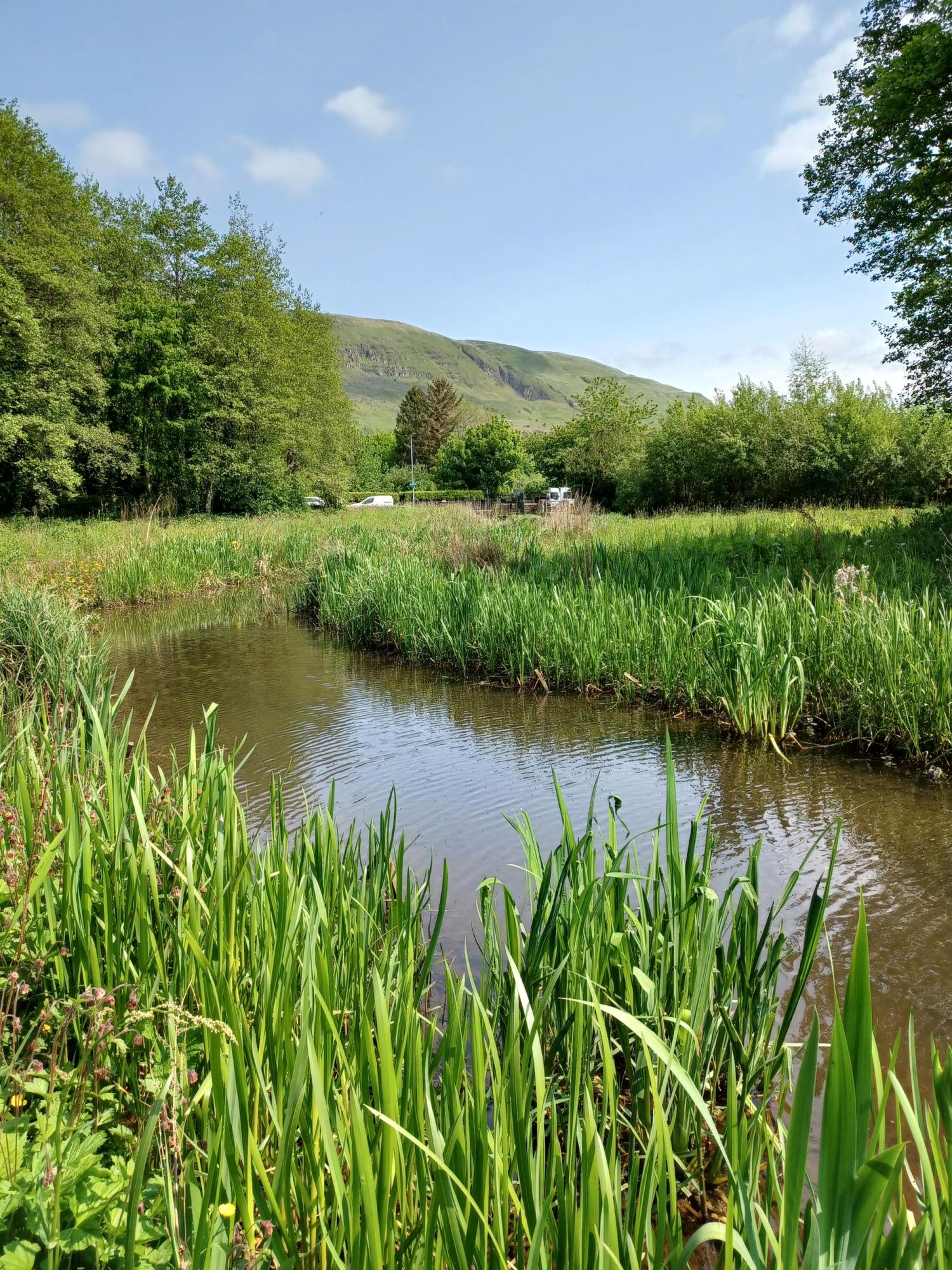 Image of marsh and water