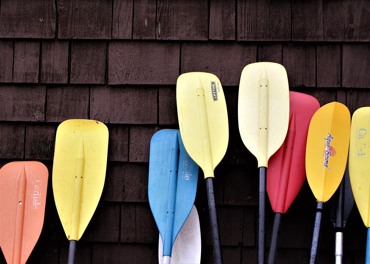 Different coloured paddles on a dark background