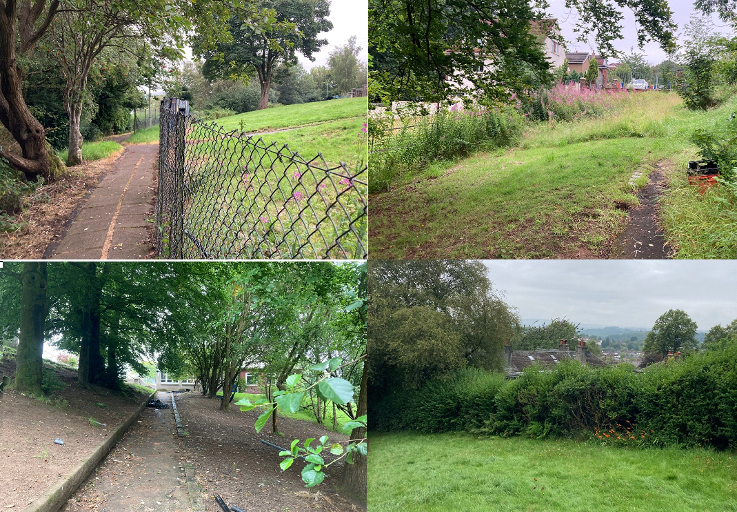 Site images of existing school site highlighting the green spaces and pedestrian routes around the site.