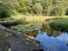 pond with path along it at Mugdock