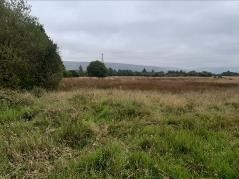 field at Mugdock