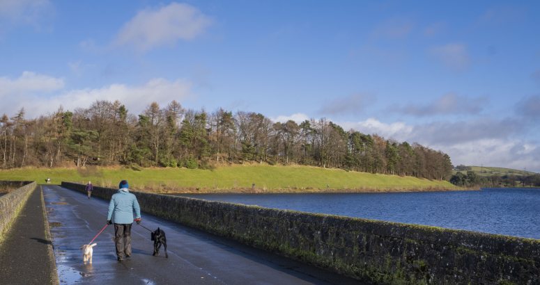 man walking his dogs a the milngavie reservoir 