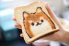 Cat image on toast