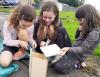 Three girls take part in one of the bird building workshops which took place across the summer in locations across East Dunbartonshire. 