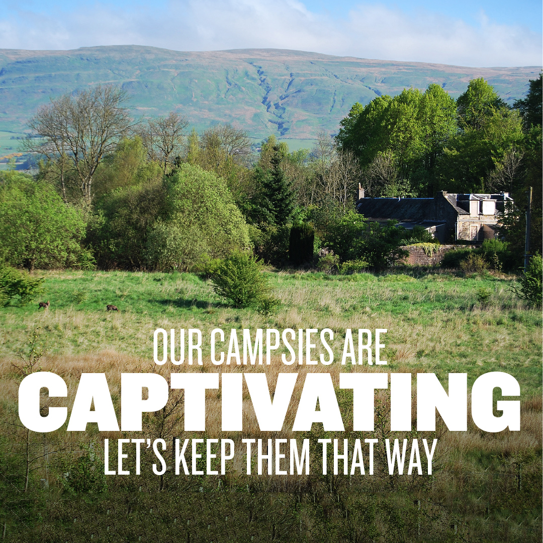 Campsies are captivating poster